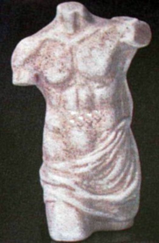 Torso