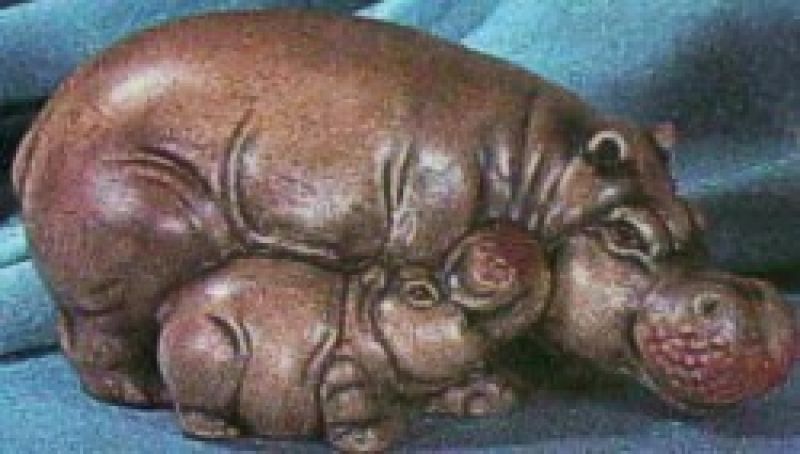 Hippo With Baby