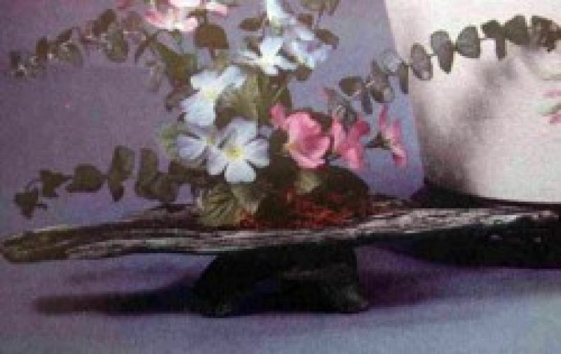 Driftwood Tray/ Base