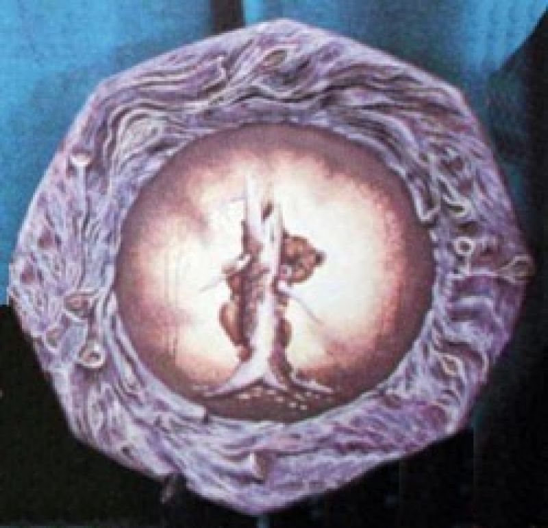 Driftwood Plate 12