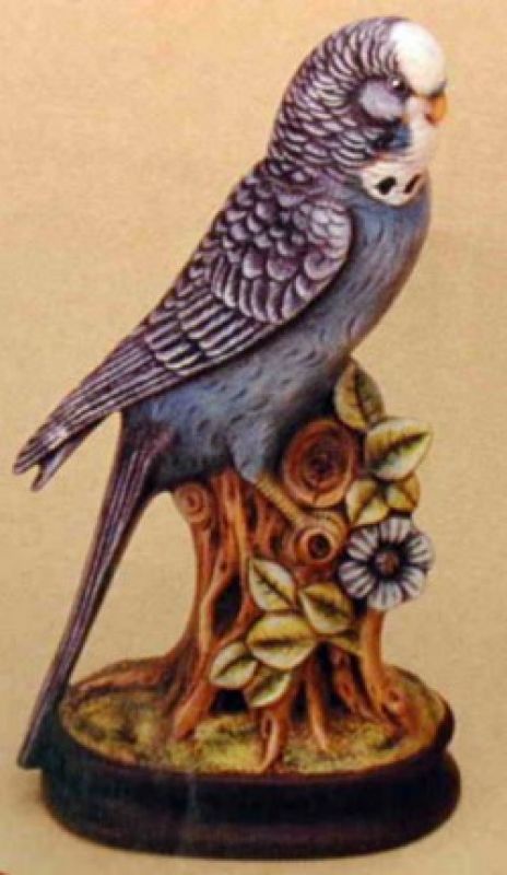 Parakeet Large