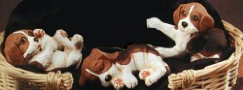 Puppies Small (set of 3)