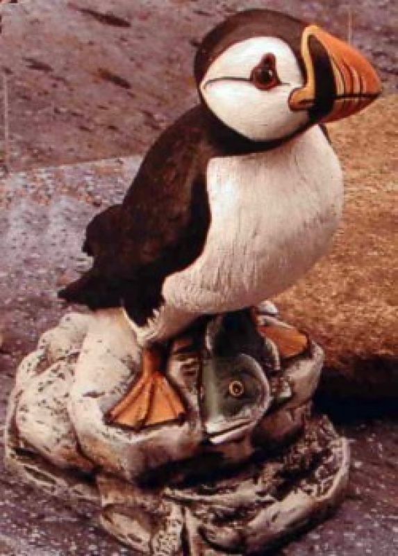 Puffin