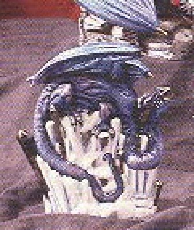Winter Dragon Small