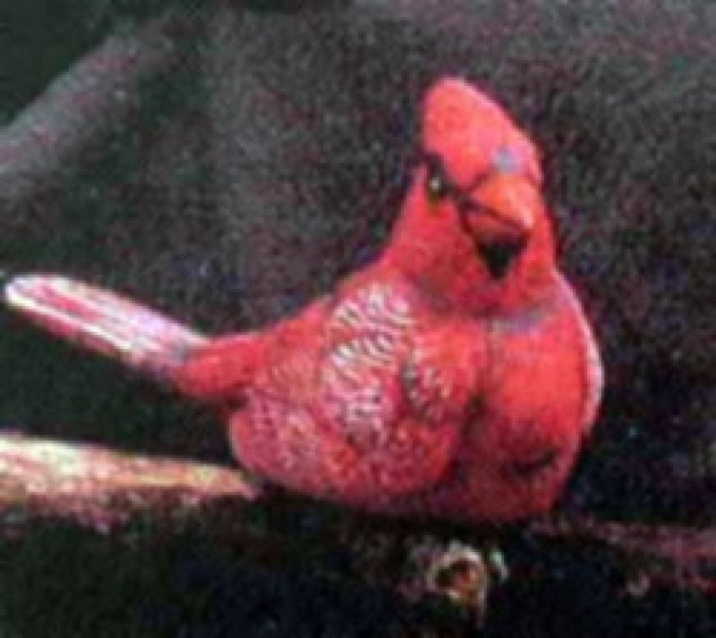 Plant Tender Songbird