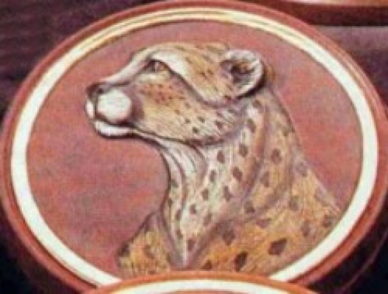 Cheetah Box