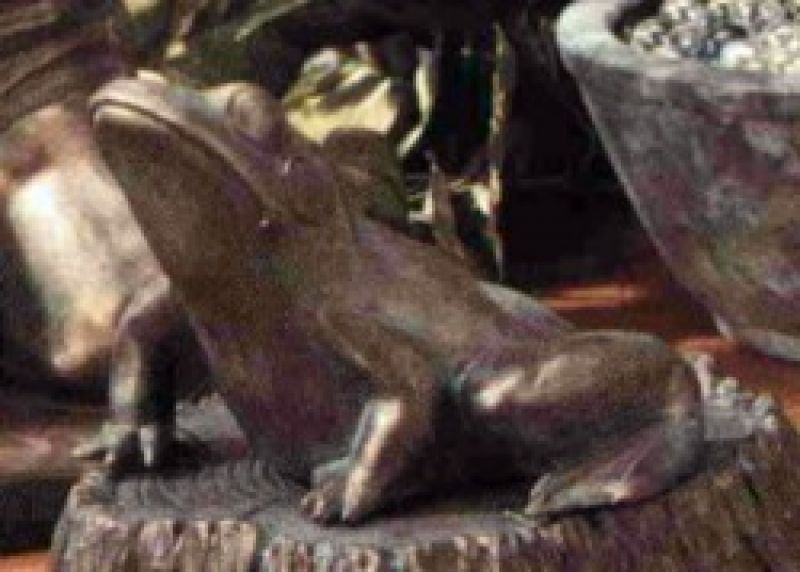 Frog For Stump