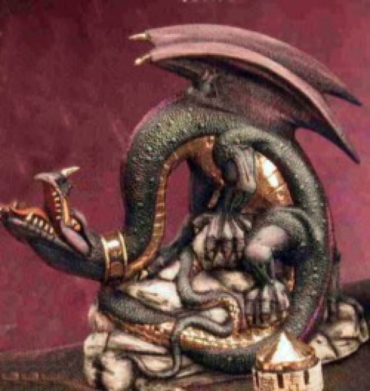 Dragon Trainee