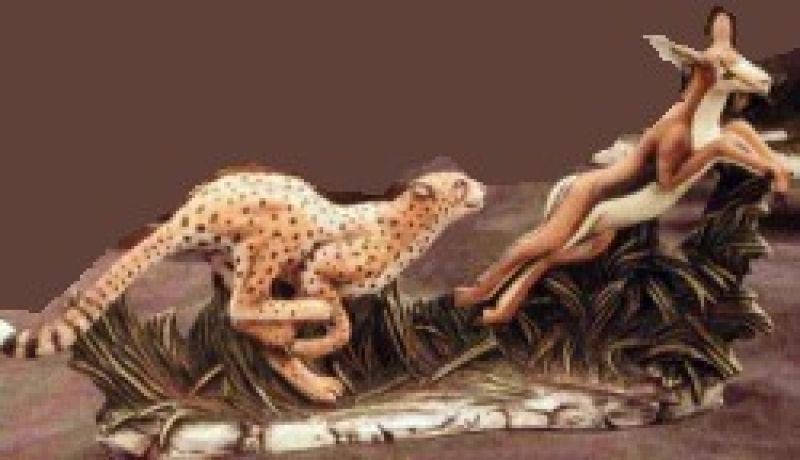 Cheetah Gazelle
