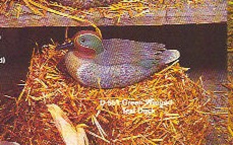 Green Winger Teal