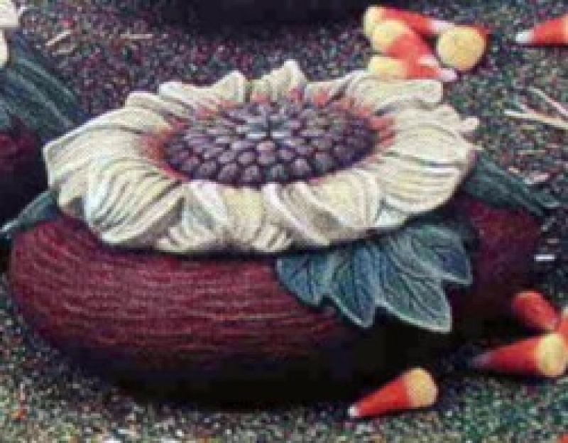 Sunflower Box 6