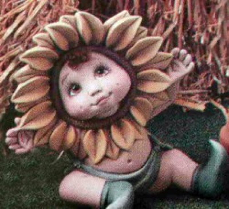 Sunflower Baby With Hands Up