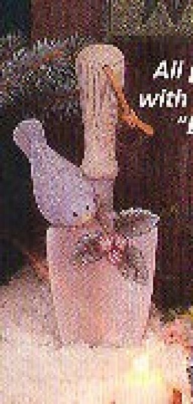 Winter Bird Trowel/Ornament Each