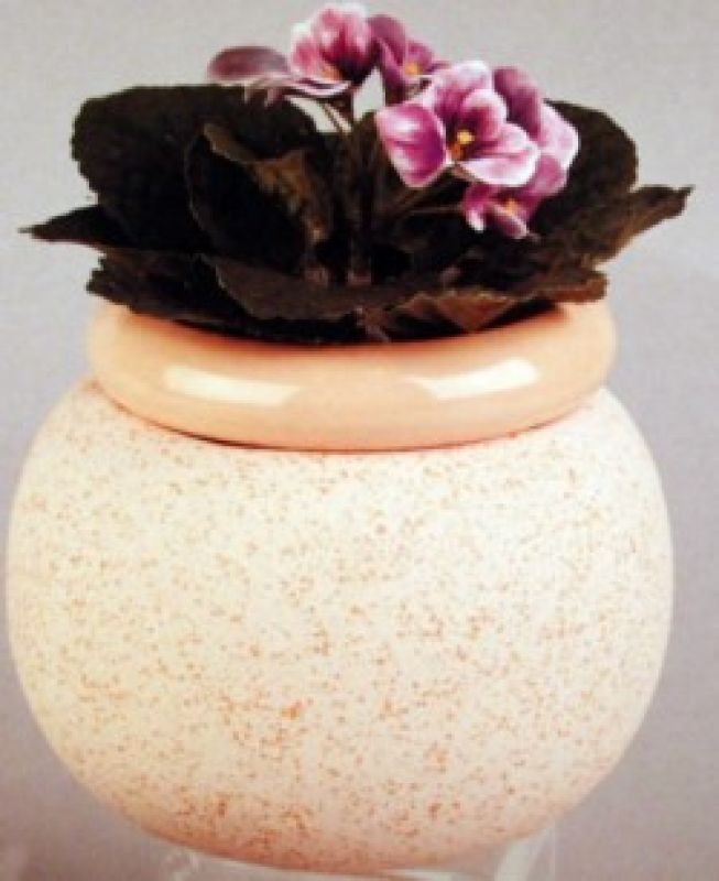 African Violet Pot