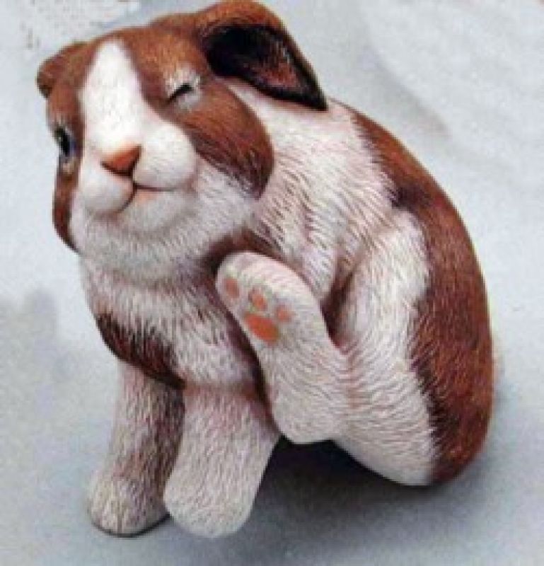 Baby Bunny Scratching