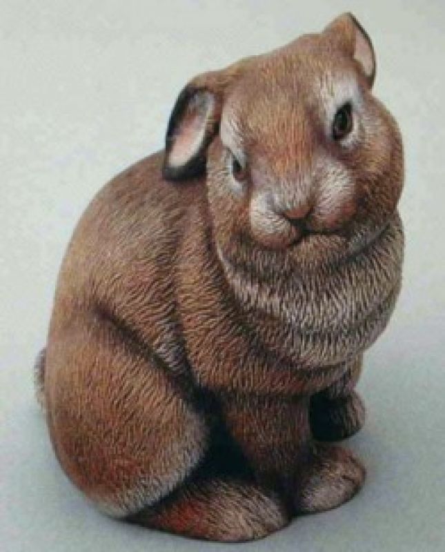 Baby Bunny Sitting