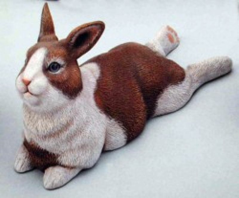 Baby Bunny With Legs Back