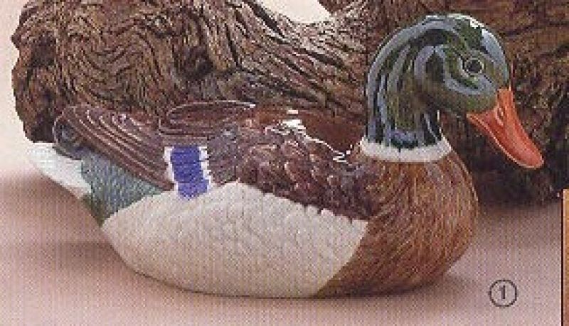 Mallard Duck