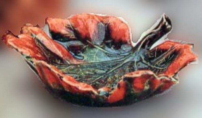 Grape Leaf Bowl
