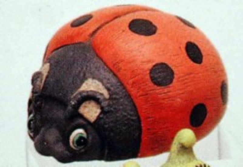 Beddy Bug