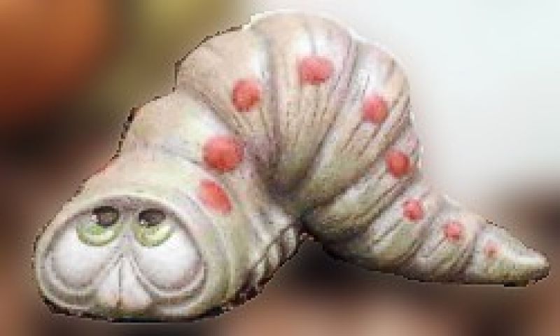 Wally Worm