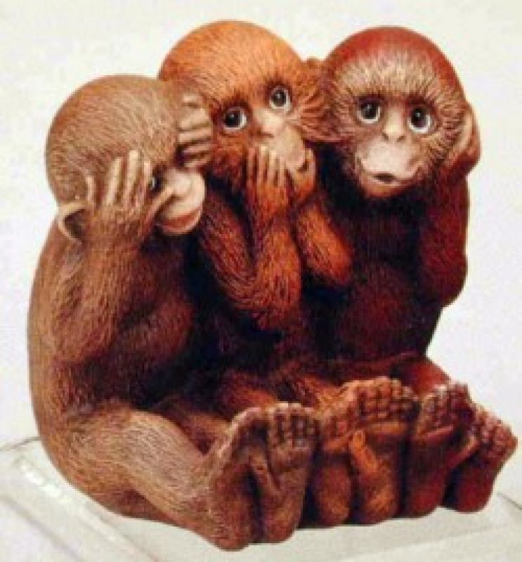 Monkey Cardholder