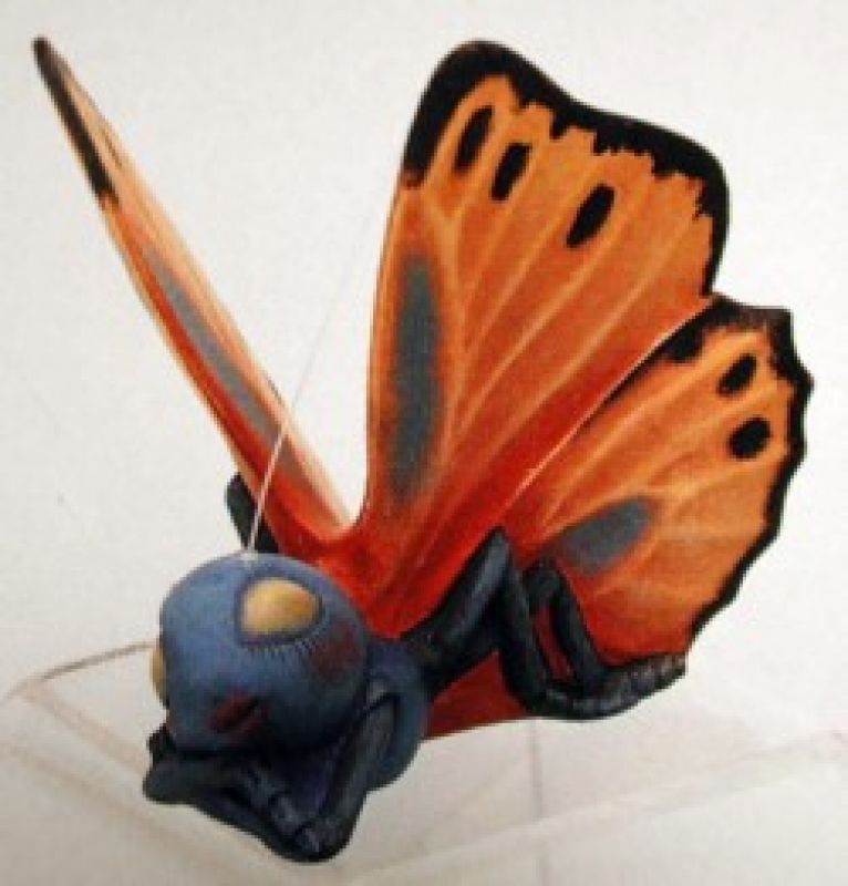 Bebe Butterfly