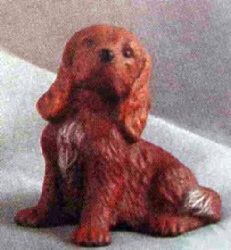 Irish Setter