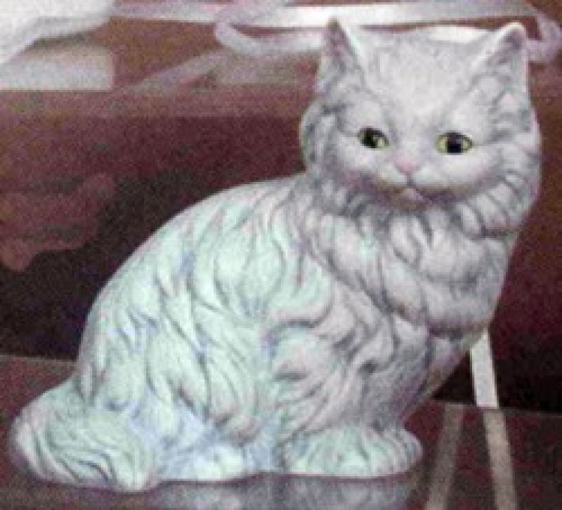 Cat Small