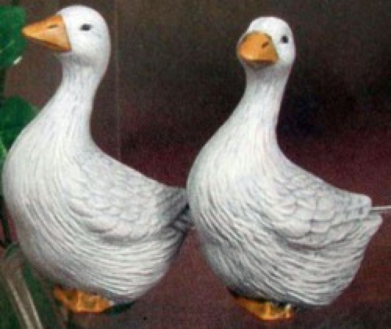 Geese 4