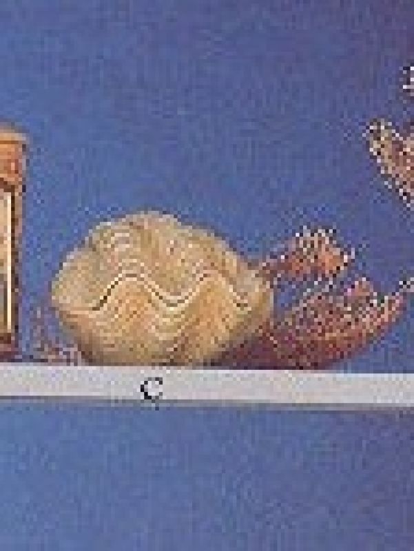 2-piece Shell (Top & Bottom)
