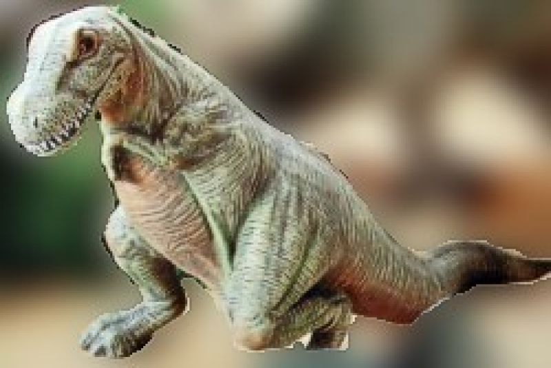 T Rex