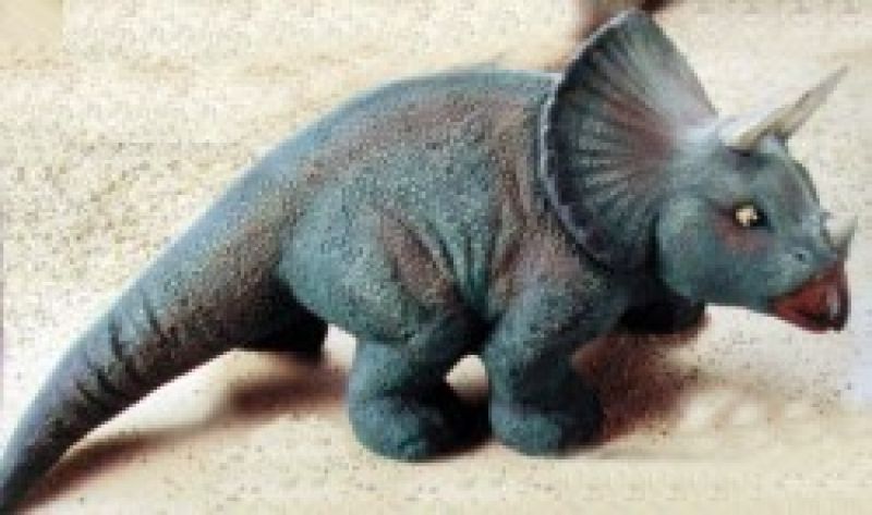 Triceratops 5