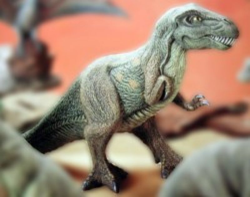 Tyrannosaurus Rex Large