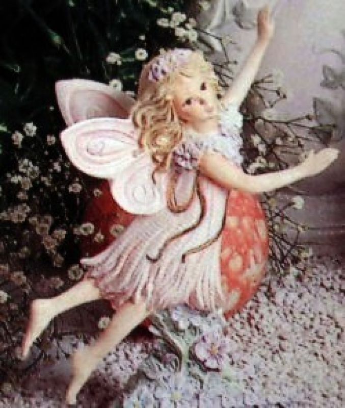 Impatience Fairy Fly