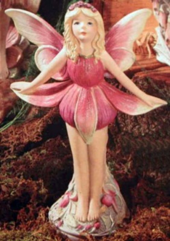 Fuchsia Fairy
