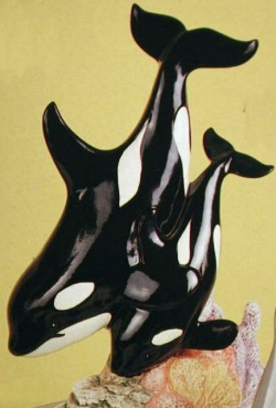 Killer Whales