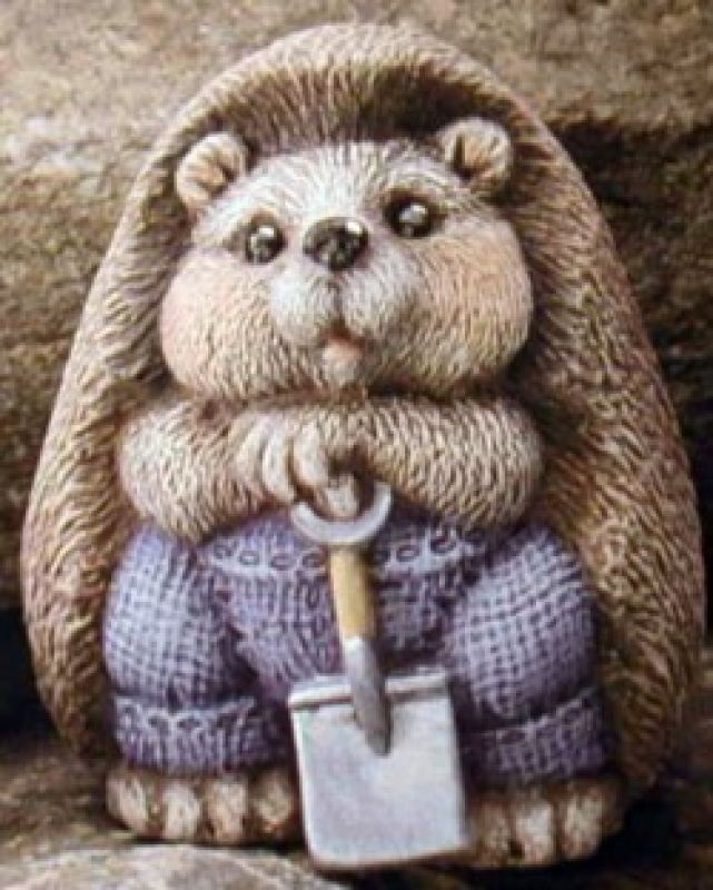 Boy Hedgehog
