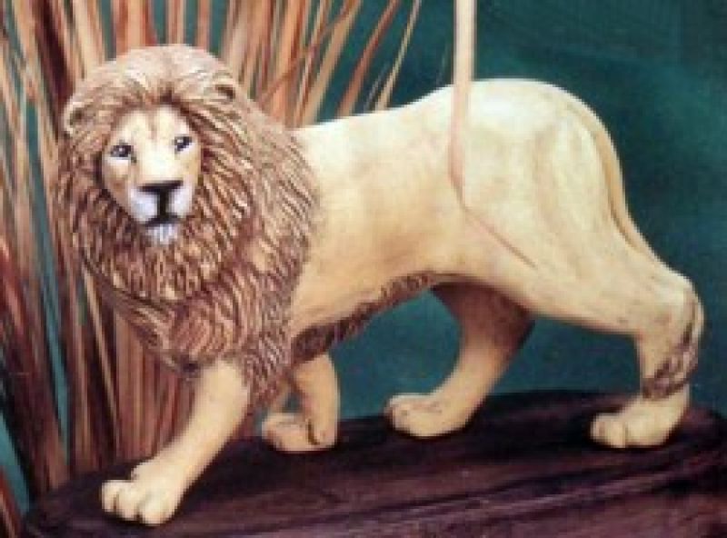 Lion 8