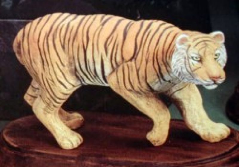 Tiger 9