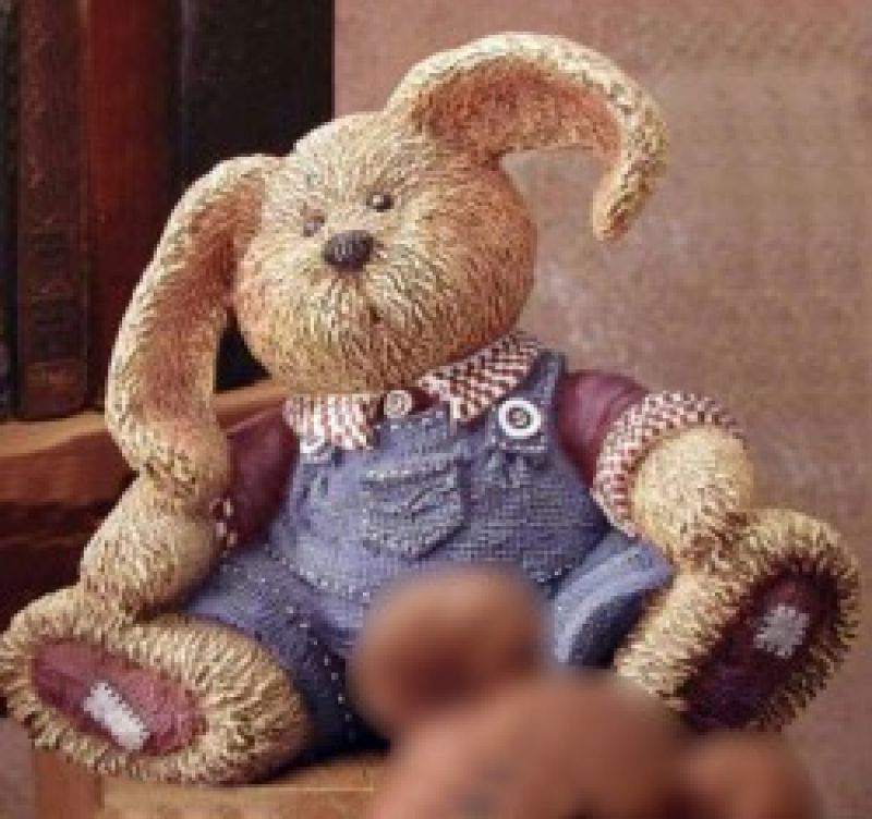 Fluffy Rabbit 9