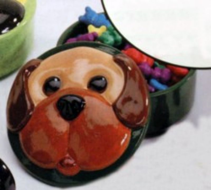 Kids Dog Box 5