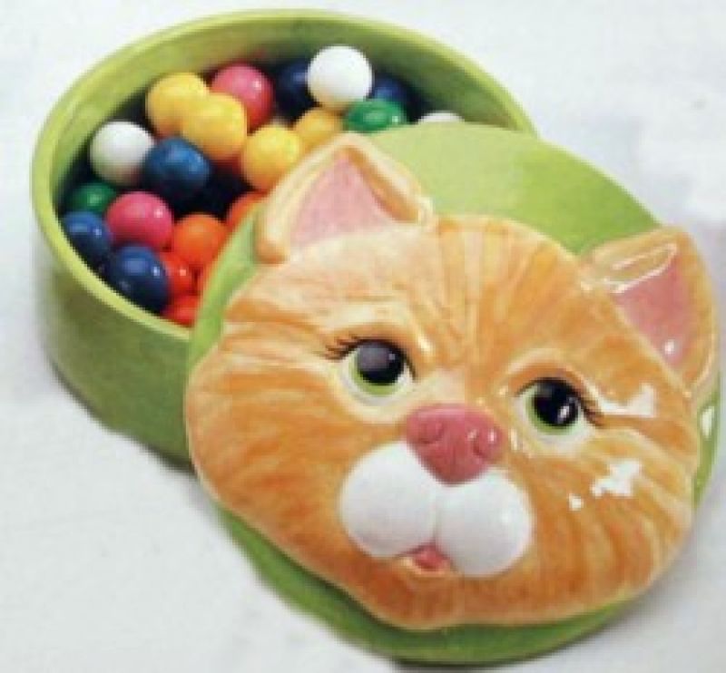 Kids Cat Box