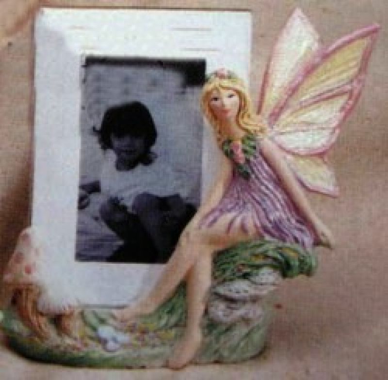 Fairy Memory Keeper