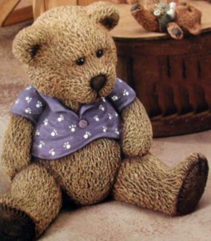 Knappy Bear W/T-Shirt