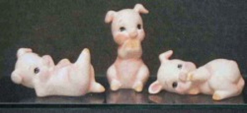 Cute Pigs 3