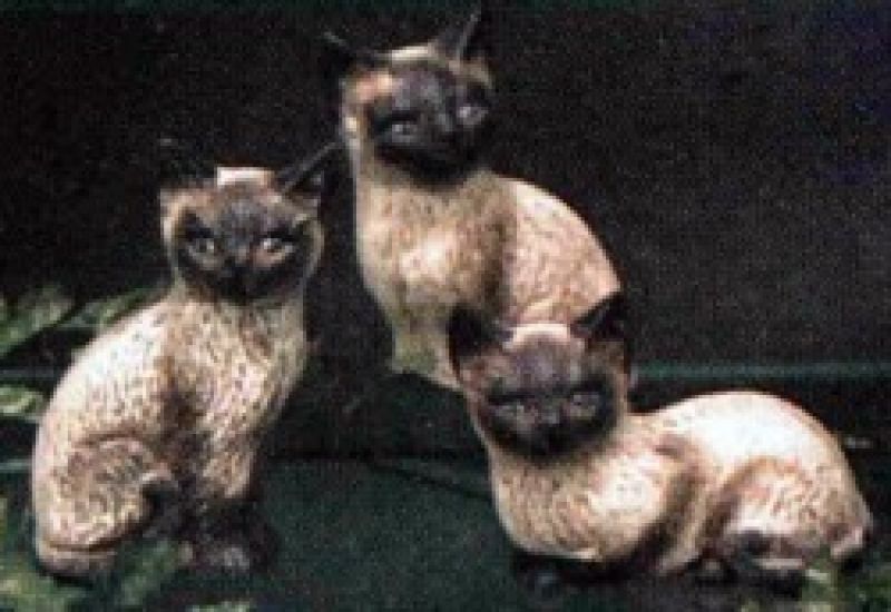 Siamese Cats 2
