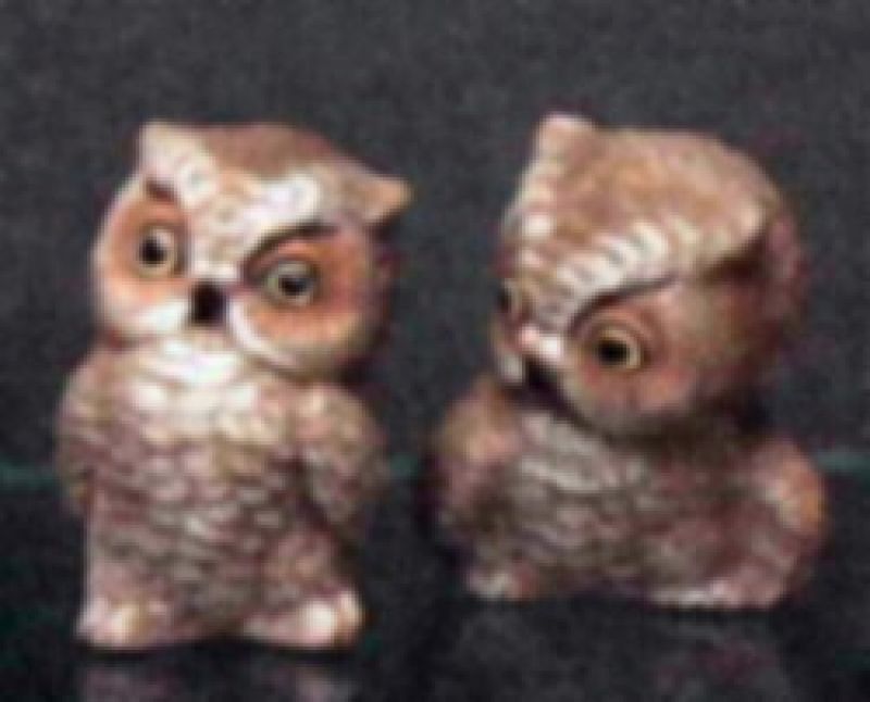 Wise Owls 2