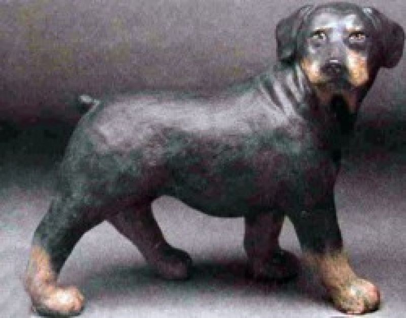 Rotweiller Dog