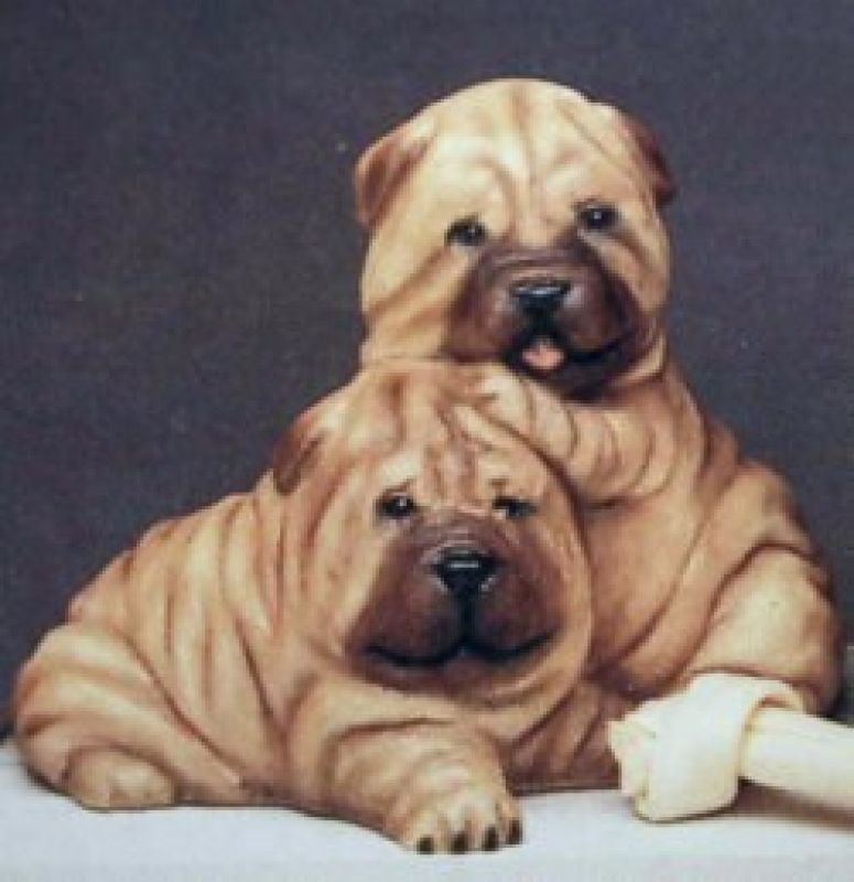 Shar-Pei Puppies
